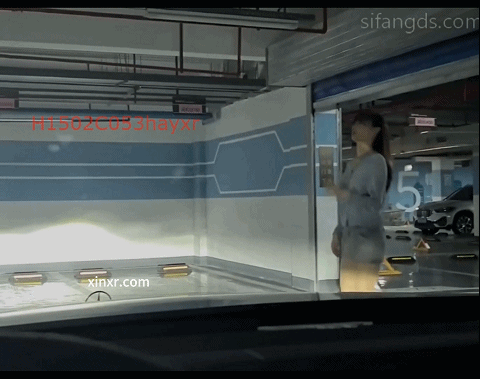11.gif
